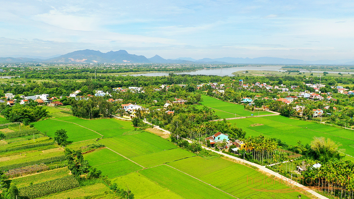 Rice and vegetable fields countryside near Hoi An